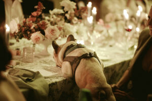 Jackie and Tom Kurland Villa Wedding - Crags Plett